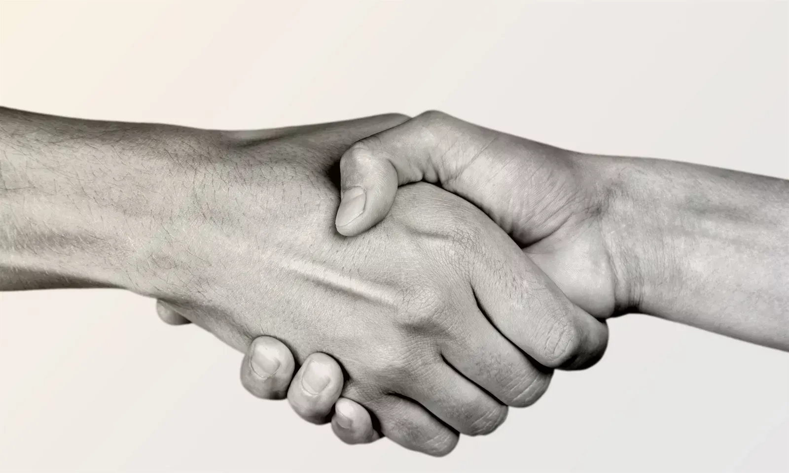 investigation software